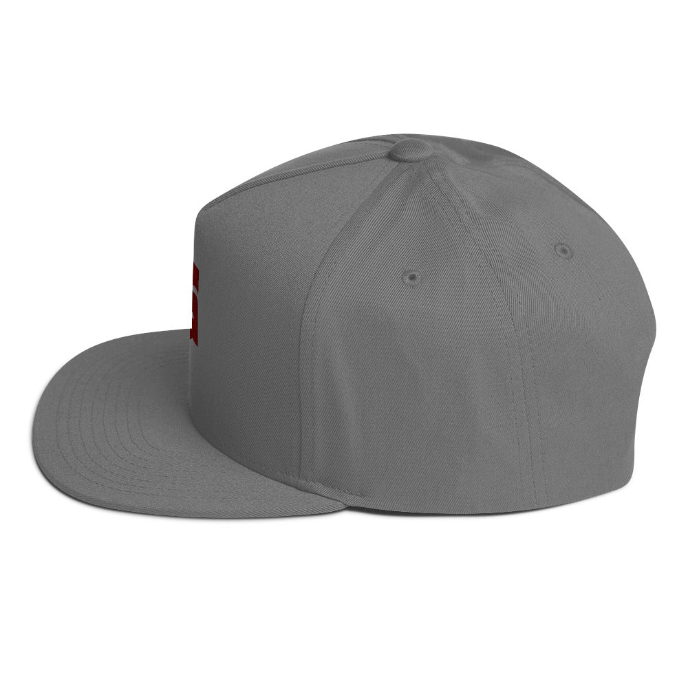 Go Cougs Flat Bill Snapback - Grey (Unisex)